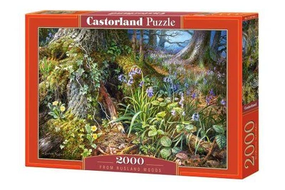 Пазли Castorland. 2000 елементів. Лісова галявина