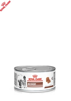 Влажный корм Royal Canin Recovery - консервы для собак и кошек в период восстановления после болезни (40550021)
