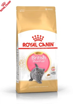 Cухой корм Royal Canin British Shorthair Kitten - для котят породы Британская короткошерстная, 10 кг (2566100)
