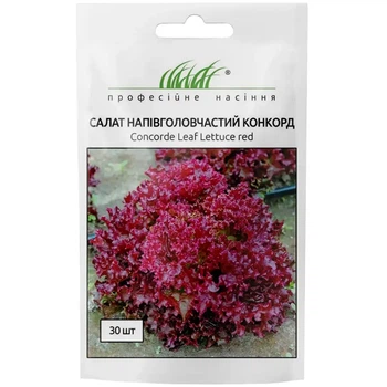 Салат Конкорд красный Лолло Россо / 30 шт