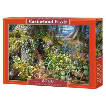 Пазли Castorland У лісі 2000 елементів 92x68 см