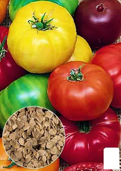 На развес Томат "Смесь крупноплодных сортов" Agro-Market цена за 3г (46882)