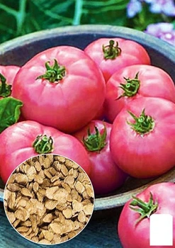 На развес Томат "Денди розовый" Agro-Market цена за 1г (46506)