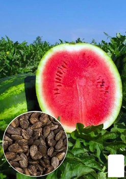 На развес Арбуз "Амфион" Agro-Market цена за 6г (51877)