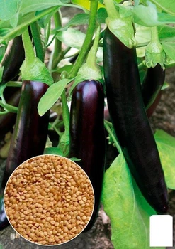 На развес Баклажан "Меч самурая" Agro-Market цена за 2г (49390)