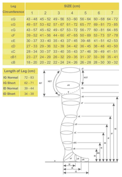 Антиварикозные колготы с открытым носком Orthopoint ERSA-511-1 бежевый XL