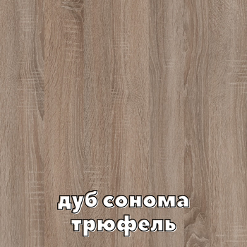 Шкаф-купе трехдверный Алекса ШК-05 Зеркало 190*60*200 см Дуб Сонома трюфель