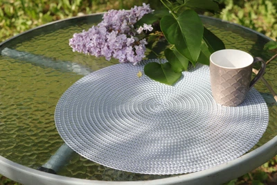 Подставка под тарелки сервировочная салфетка круглая MyKіtchen d-38 см Silver