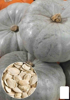 На развес Тыква "Крошка" Agro-Market цена за 15г (49380)