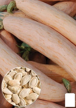 На развес Тыква "Розовый фламинго" Agro-Market цена за 10г (49371)