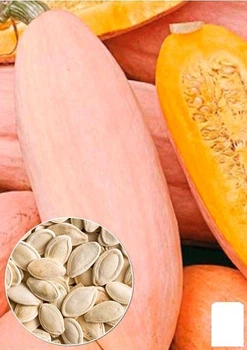 На развес Тыква "Розовый бивень" Agro-Market цена за 10г (49372)