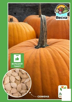 Тыква "Титан" (Большой пакет) Agro-Market 4г (33066)