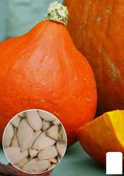 На развес Тыква "Сладкий инжир" Agro-Market цена за 10г (49350)