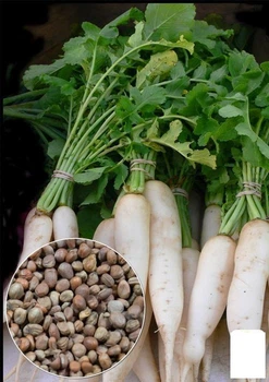 На развес Редька дайкон "Миноваси" Agro-Market цена за 10г (32279)