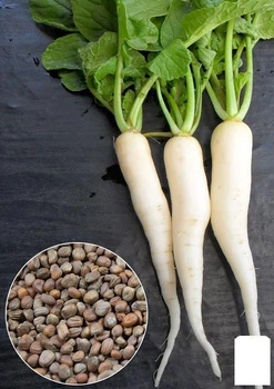 На развес Редька "Мюнхен бир" Agro-Market цена за 10г (32074)