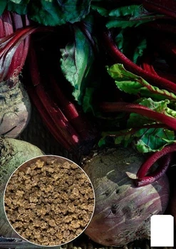 На вагу Буряк "Бордо" Agro-Market ціна за 10г (13341)