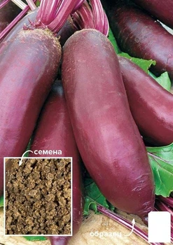На развес Свекла "Козак" Agro-Market цена за 10г (49435)