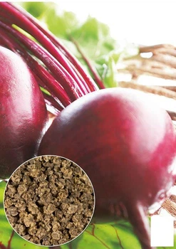 На развес Свекла "Гранатовый сок" Agro-Market цена за 10г (35722)