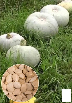 На развес Тыква "Лечебная" Agro-Market цена за 10г (22329)