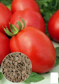 На вагу Томат "Де Барао червоний" Agro-Market ціна за 1г (11614)