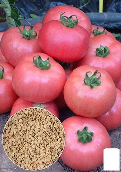 На вагу Томат "Мікадо" Agro-Market ціна за 1г (13318)