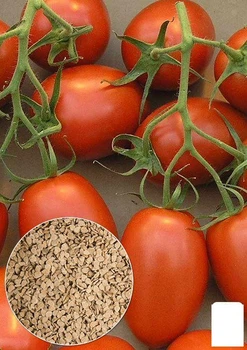 На развес Томат "Карась" Agro-Market цена за 1г (22154)