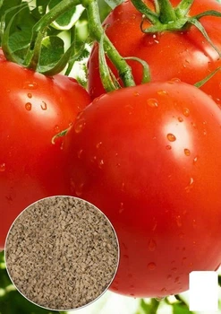 На вагу Томат "Джина" Agro-Market ціна за 2г (32192)