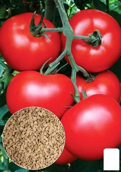 На развес Томат "Розовый гигант" Agro-Market цена за 1г (22163)