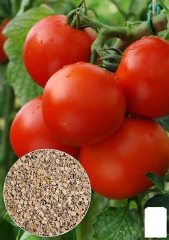 На развес Томат "Успех" Agro-Market цена за 2г (22147)