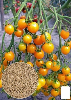 На развес Томат "Черри желтый" Agro-Market цена за 1г (22167)