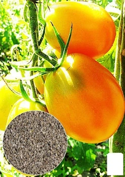 На развес Томат "Золотое руно" Agro-Market цена за 1г (32068)