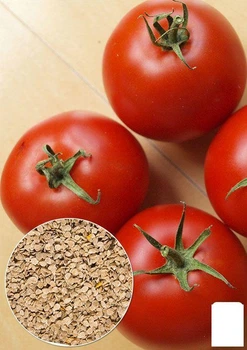 Насіння Томат "Смолоскип" ТМ "Agro-Market" ціна за 2г (13306)