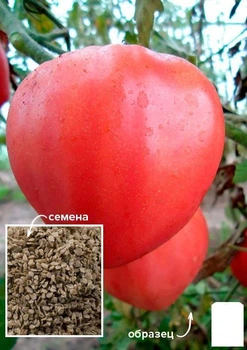 Насіння Томат "Буденівка рожевий" ТМ "Agro-Market" ціна за 1г (49402)