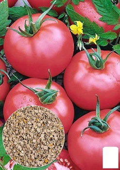 Насіння Томат "Ляна рожева" ТМ "Agro-Market" ціна за 2г (22145)