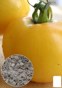 На развес Томат "Микадо желтый" Agro-Market цена за 1г (13319)