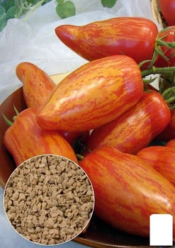 На вагу Томат "Тигровий" Agro-Market ціна за 1г (32087)