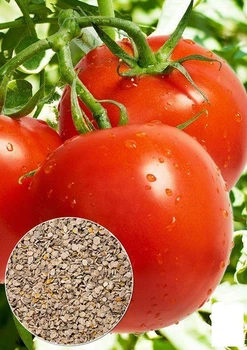 Насіння Томат "Ляна" ТМ "Agro-Market" ціна за 2г (13304)