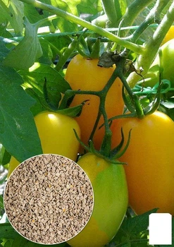 На развес Томат "Обериг" Agro-Market цена за 1г (22185)