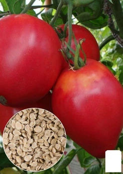 На развес Томат "Орлиное сердце" Agro-Market цена за 1г (35732)