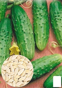 На развес Огурец "Цезарь F1" Agro-Market цена за 4г (22130)