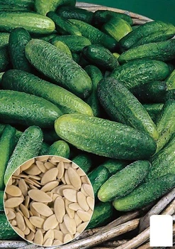 На вагу Огірок "Малюк" Agro-Market ціна за 2г (22119)
