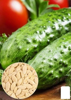 На вагу Огірок "Засолювальний" Agro-Market ціна за 5г (13322)