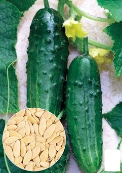 На развес Огурец "Феникс" Agro-Market цена за 5г (13325)