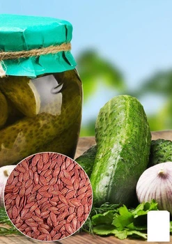 На развес Огурец "Деревенский разносол" Agro-Market цена за 1г (35745)