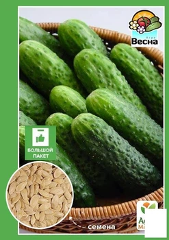 Огурец "Зятек F1" (Большой пакет) Agro-Market 0.5г (32507)
