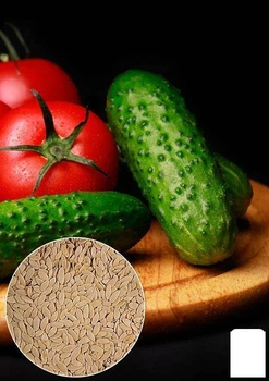 На развес Огурец "Засухоустойчивый" Agro-Market цена за 5г (35699)
