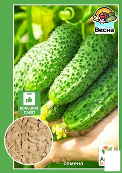 Огурец "Конкурент" (Большой пакет) Agro-Market 2г (32485)