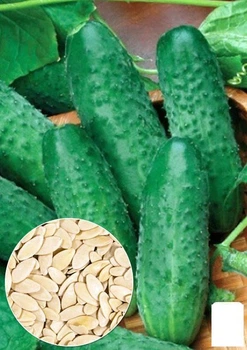 На вагу Огірок "Крак F1" Agro-Market ціна за 4г (22123)