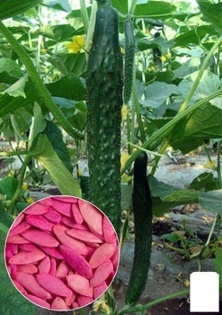 На развес Огурец "Китайское чудо " Agro-Market цена за 2г (35749)