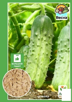 Огірок "Криниця F1" (Великий пакет) Agro-Market 1.5г (32500)